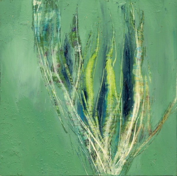 Blooming-sm