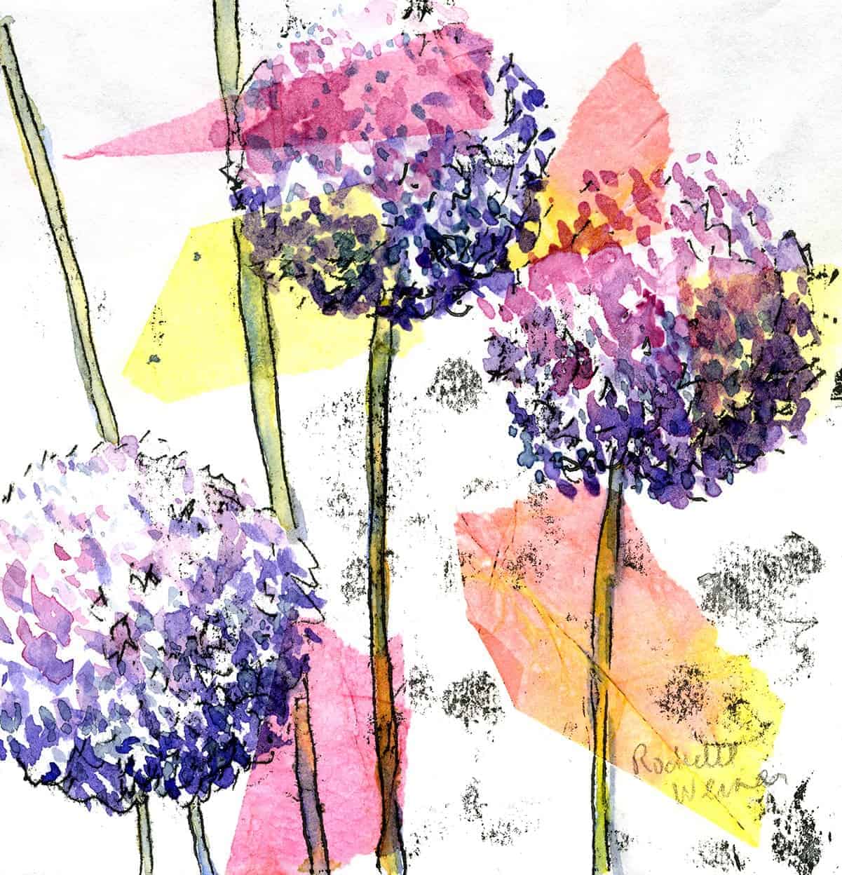Allium-sm