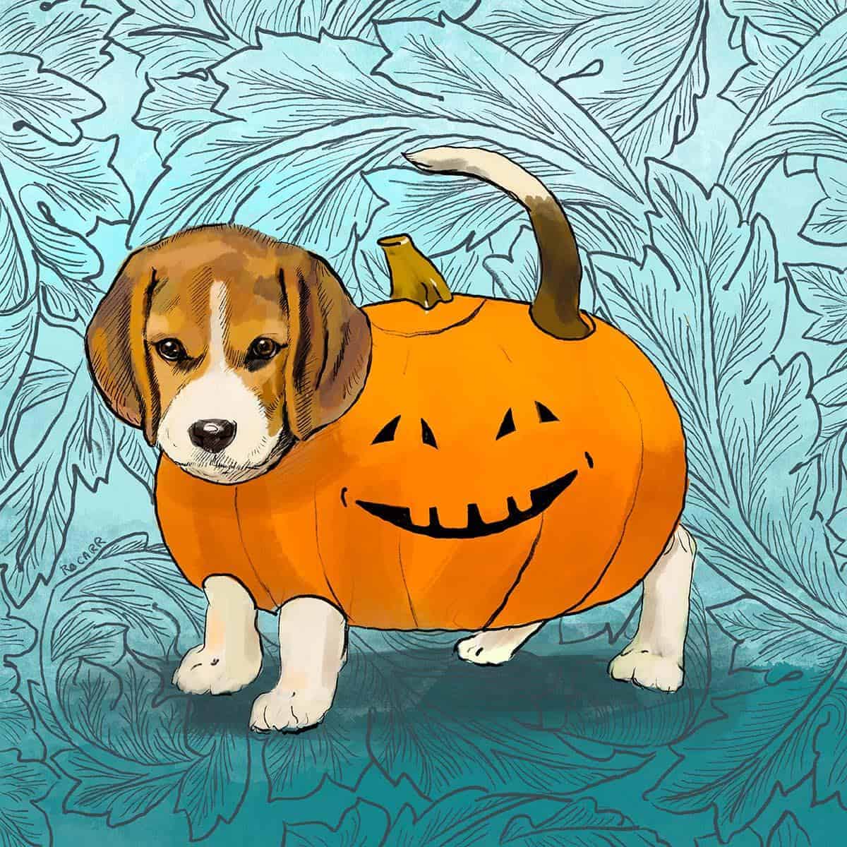 Beagle1200