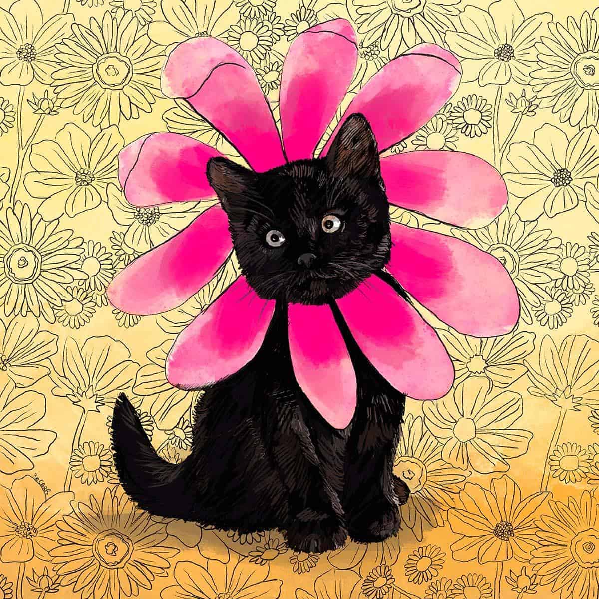 Kitten1200
