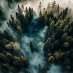 20 Best Books Like Credence (New Adult Romance)