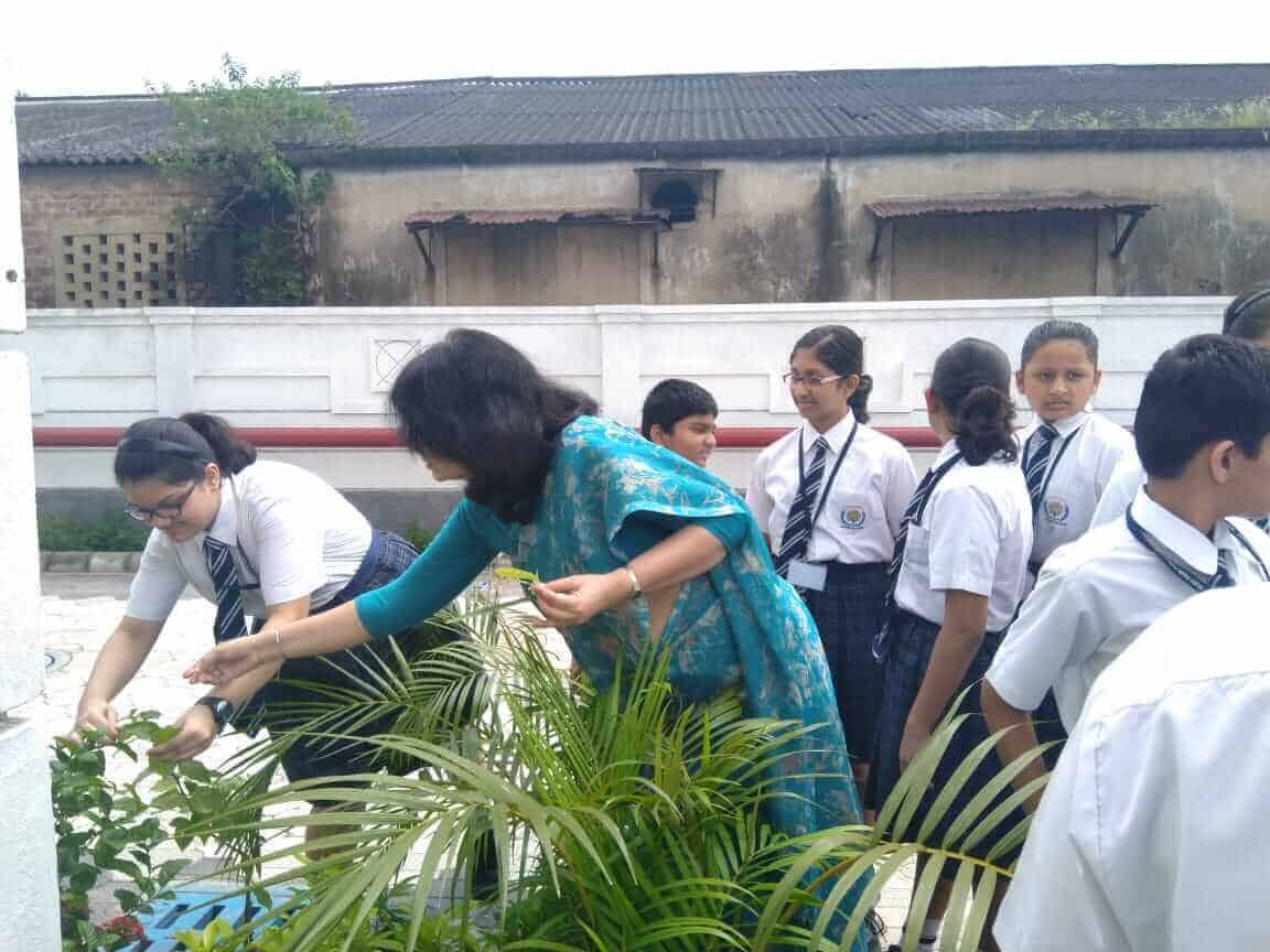 A Classroom Outside The Classroom