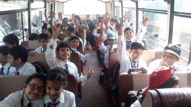 The Jungle Trip