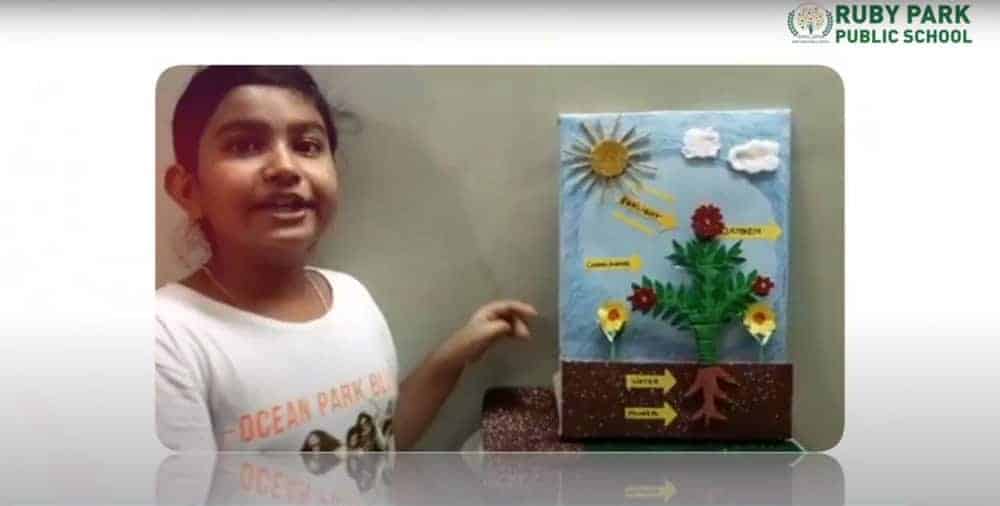 Virtual Science Exhibition 2020