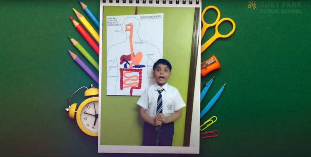 Virtual Science Exhibition 2020