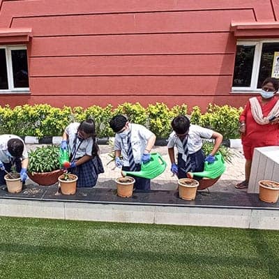 Plantation Activity 2022