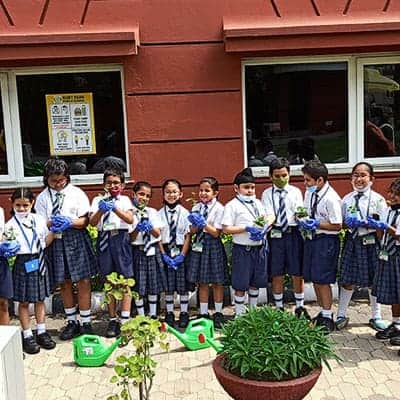 Plantation Activity 2022