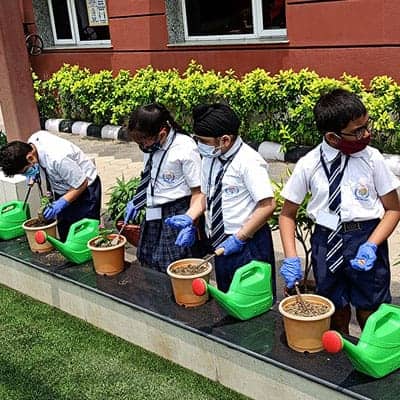 Plantation Activity 2022