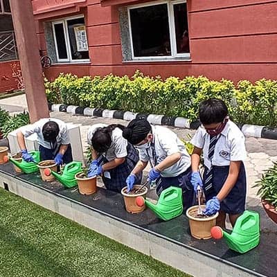 Plantation Activity 2022