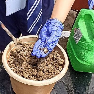 Plantation Activity 2022