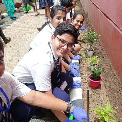 Van Mahotsav Divas 2023