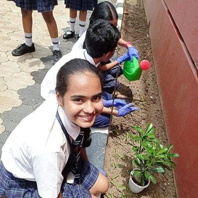 Van Mahotsav Divas 2023