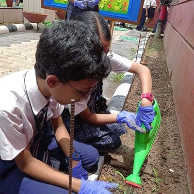 Van Mahotsav Divas 2023