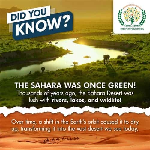 Did You Know?