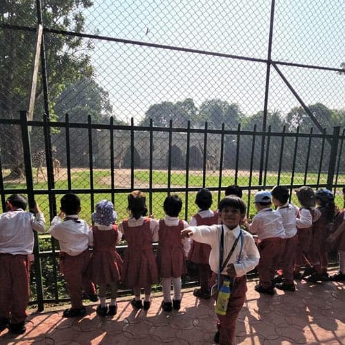Traversing through the fauna! (Alipore Zoological Garden)