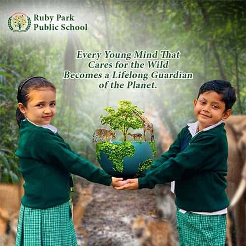 Environmental Care