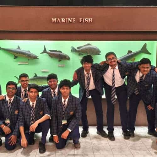 The origin of species - Indian Museum 2025-26