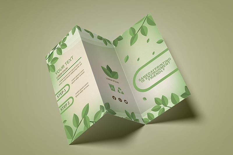 Z-fold-Brochure-Printing-SDP-v2