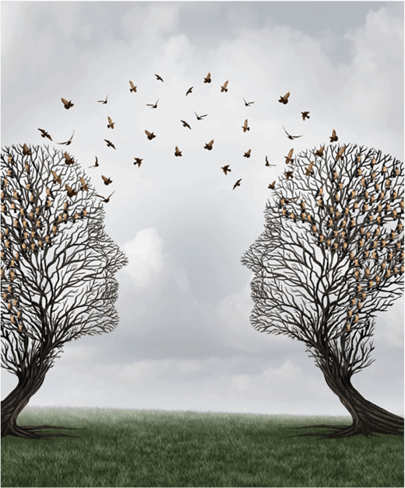 Interpersonal Skills in Organizations are Vital: A Conversation Between Share Collaborative and Growing Minds