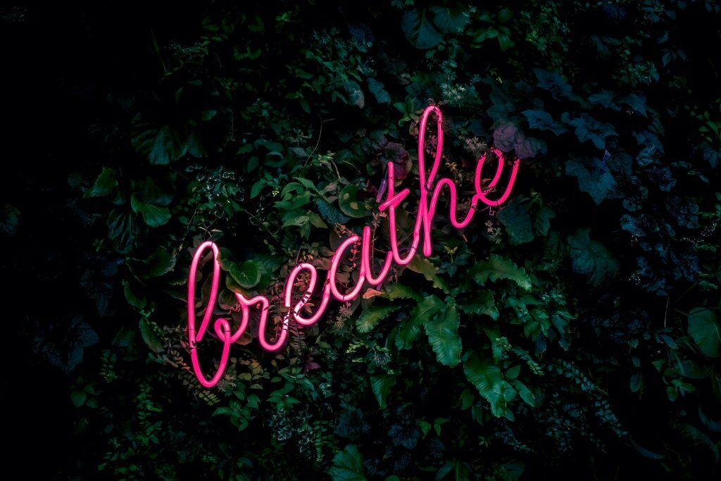 A dark, leafy green background made up of green foliage. A pink neon sign that reads "breathe" in cursive writing hangs on the leafy wall.