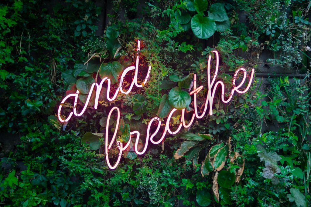 A wall of lush greenery with a neon pink sign that says "and breathe"