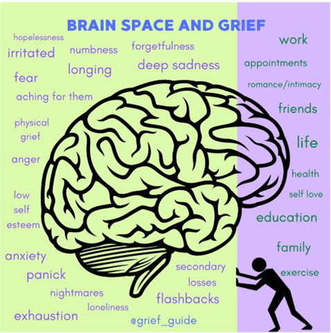 A graphic shows an illustration of a human brain and the silhouette of of a person, surrounded by words describing grief and trauma.