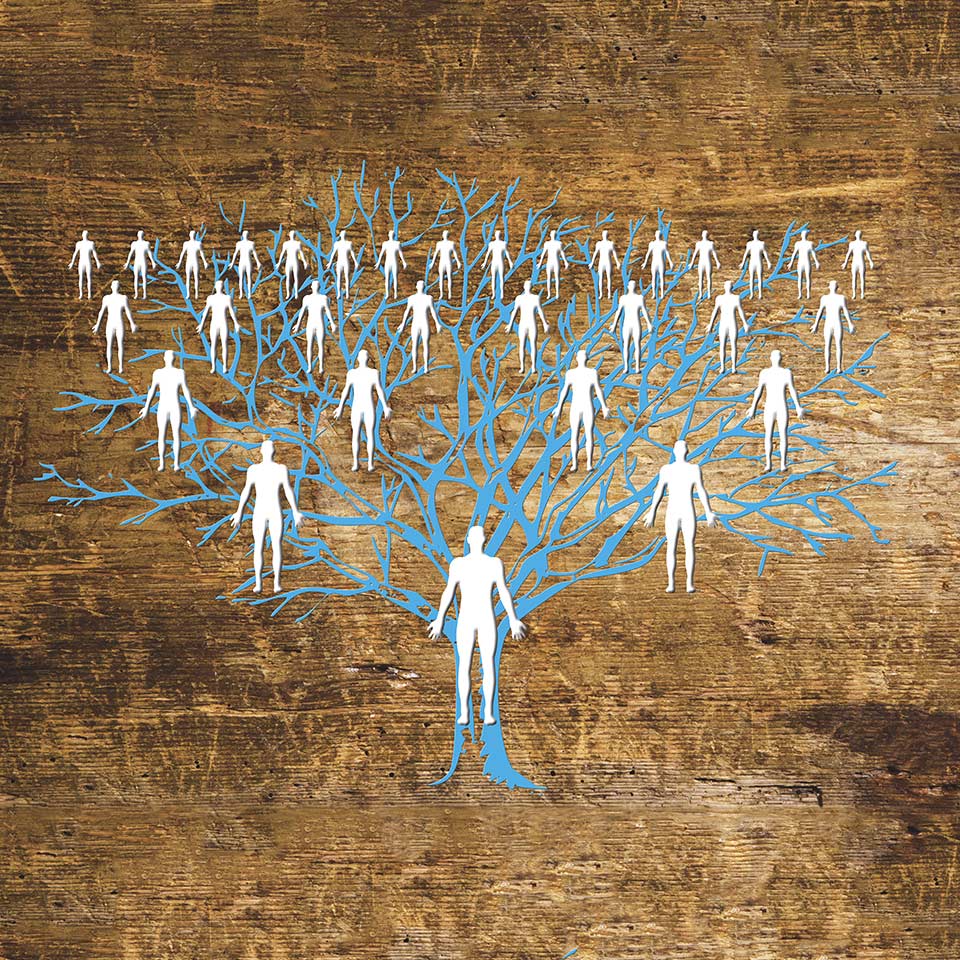 A graphic illustration of a family tree, with white figures connected together by blue lines that represent tree branches on a brown, wooden-textured background.