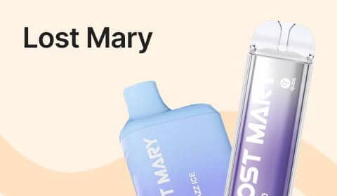Lost Mary