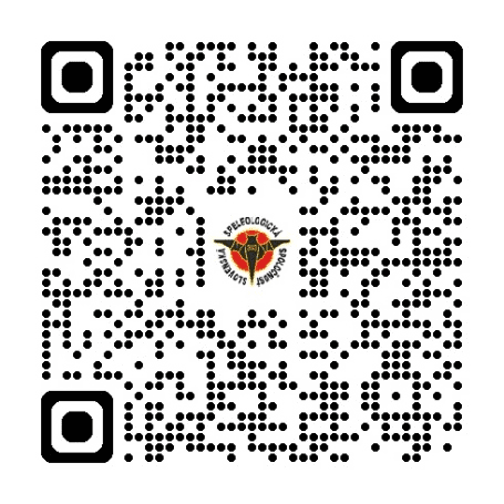 Automatický koncept