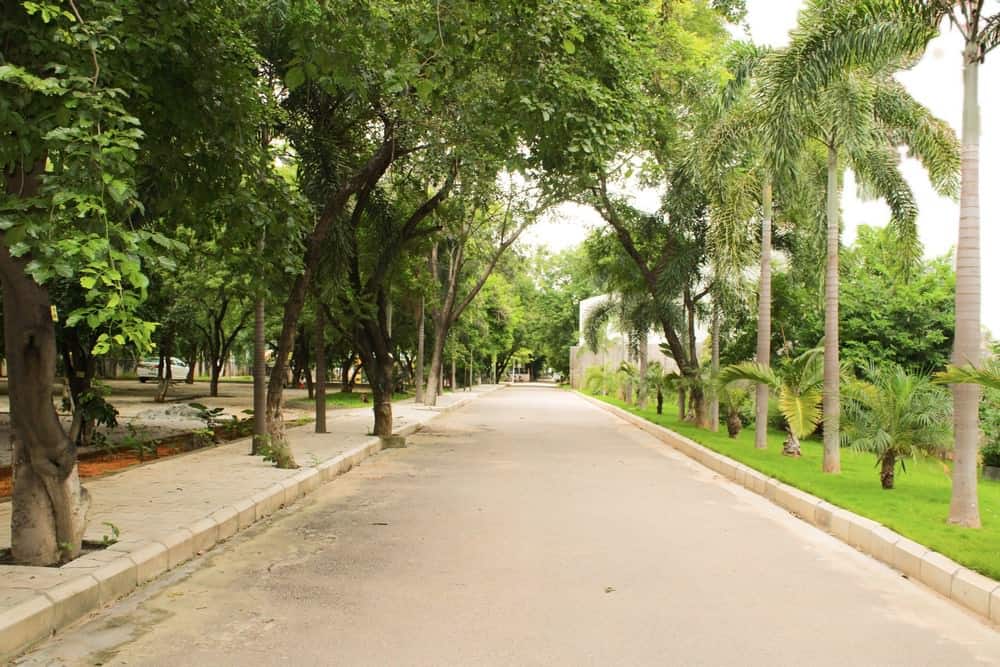 Road View at Suchitra Academy International School