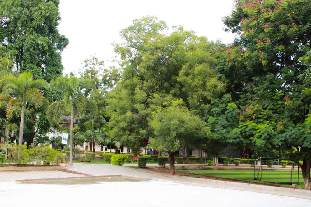 Suchitra Academy - Outside View