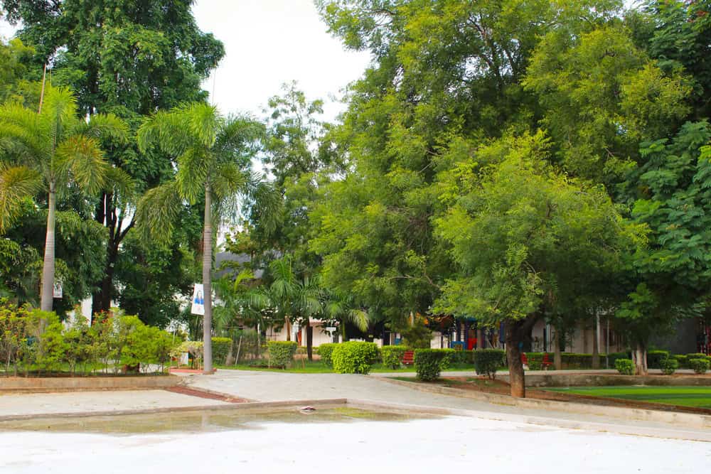 Campus View at Suchitra Academy International School