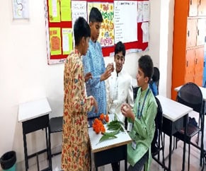 9th January,2024-Sankranti Celebrations!Grades V and VI, along with Stage 5 and 6, infused the school with the vibrant spirit of Sankranti through group celebrations.