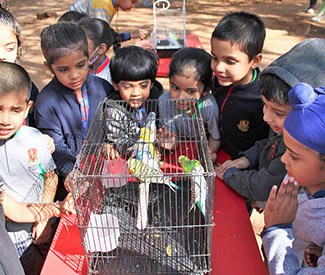 IEYC – Pre Primary