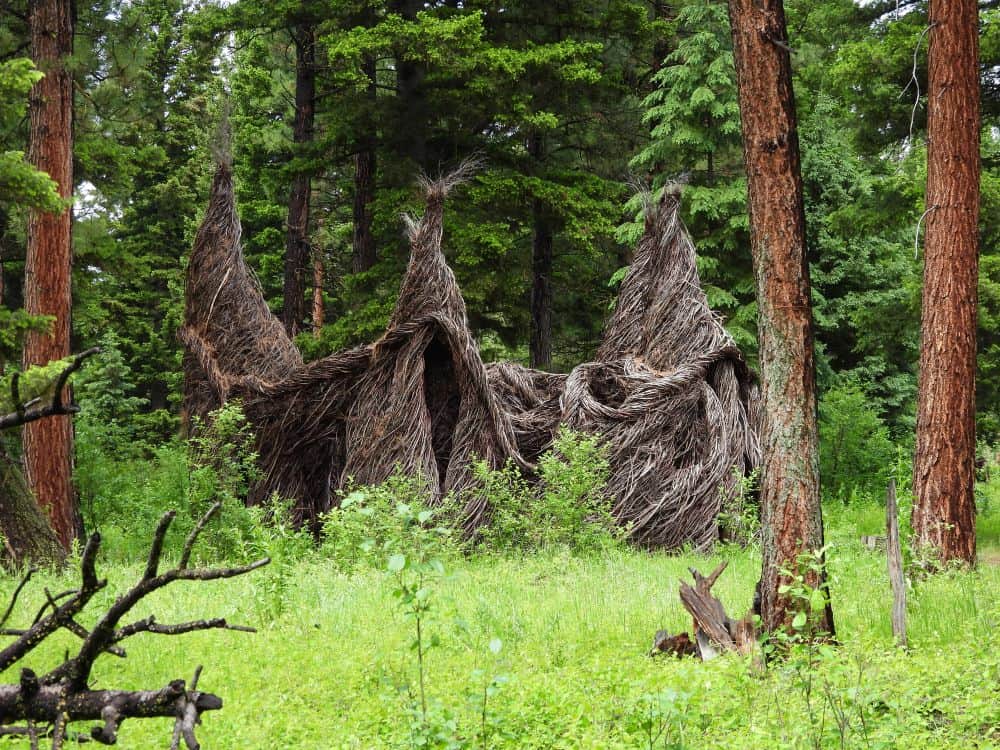 Sculpture in the Wild