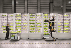 InFarm, agtech, startup, Berlin