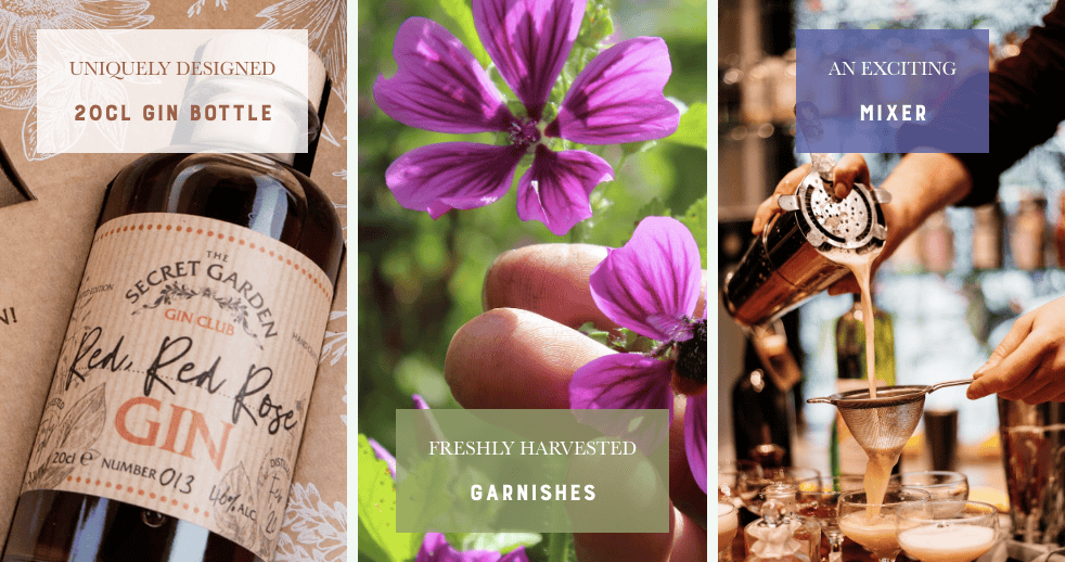 The-Secret-Garden-Gin-Club-subscription-box-products