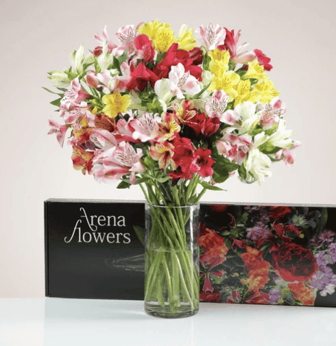 Arena-Flowers