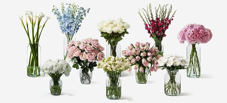 Flowerbx-flowers