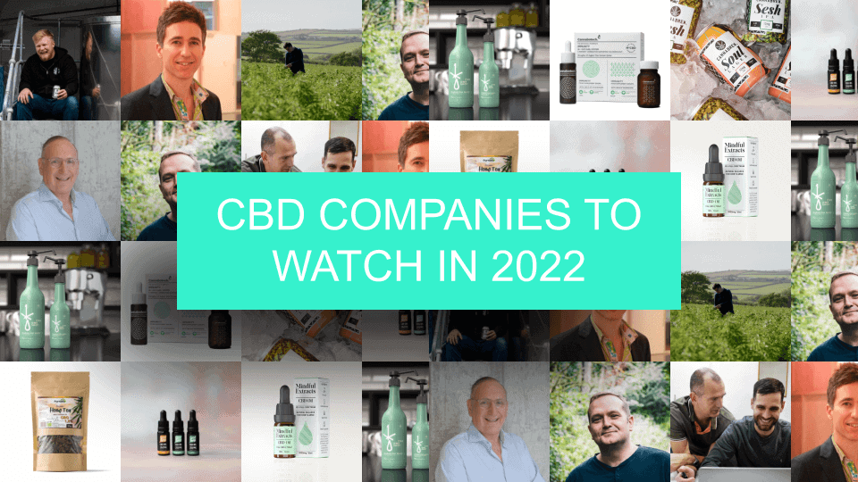 CBD Companies to Watch Header