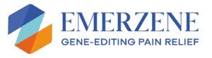Emerzene Inc
