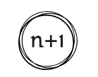 N+1 Cyclists company logo
