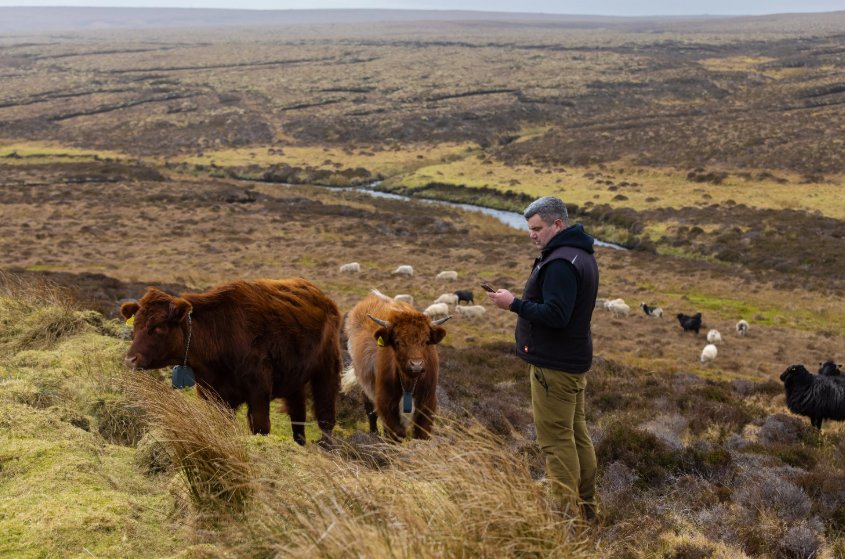 Nofence Launches HerdNet A New Communication System For Livestock Collars