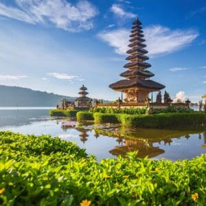 Treehouse and Jungle Studios – Bali