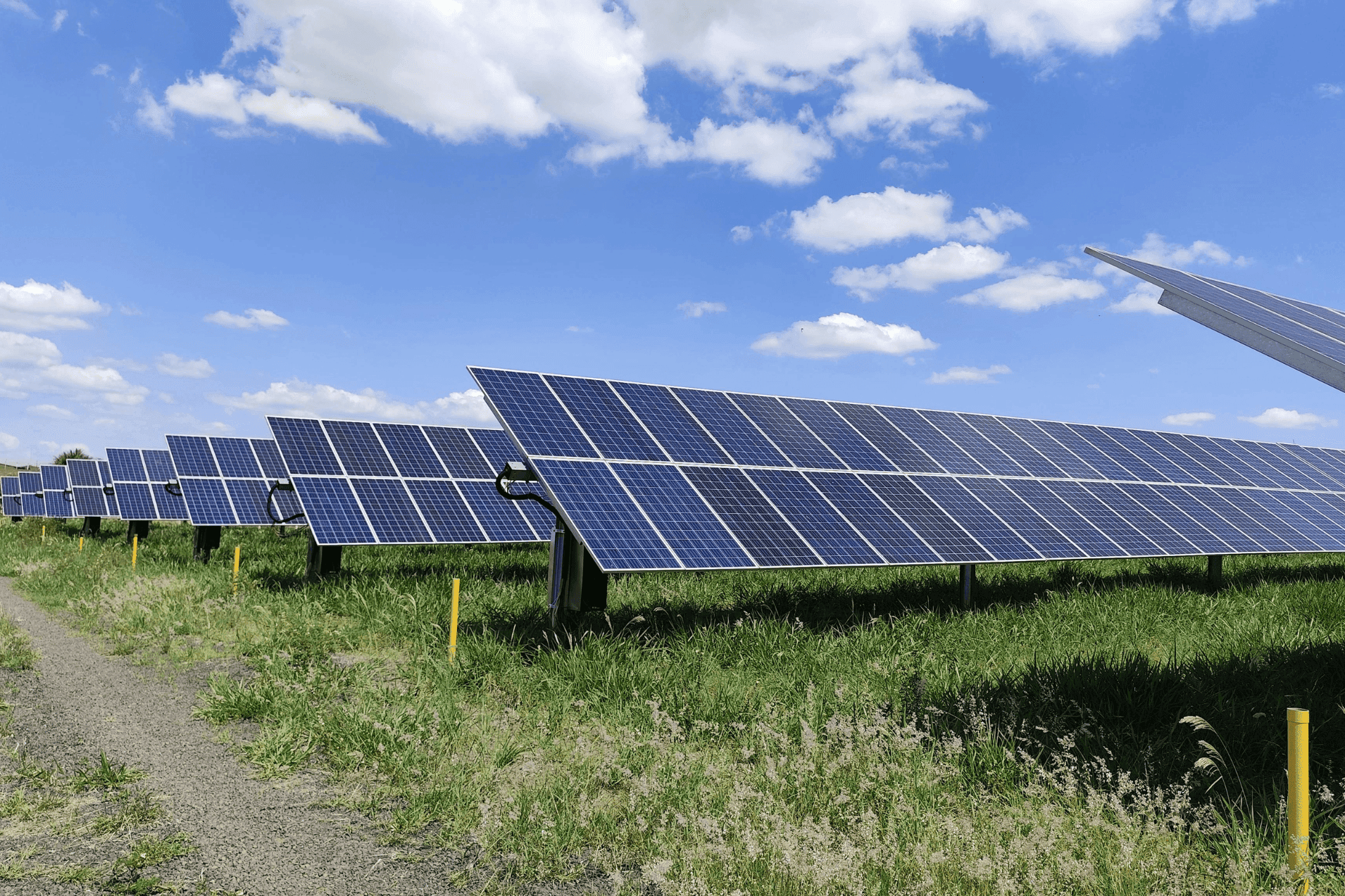 sheikh-ahmed-dalmook-al-maktoum-rural-power