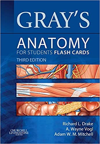 grays anatomy students flash cards 3e