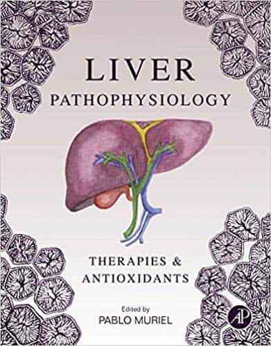 Liver Pathophysiology: Therapies and Antioxidants - eBook