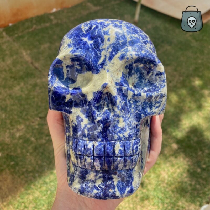 Large sodalite crystal skull by Walmere