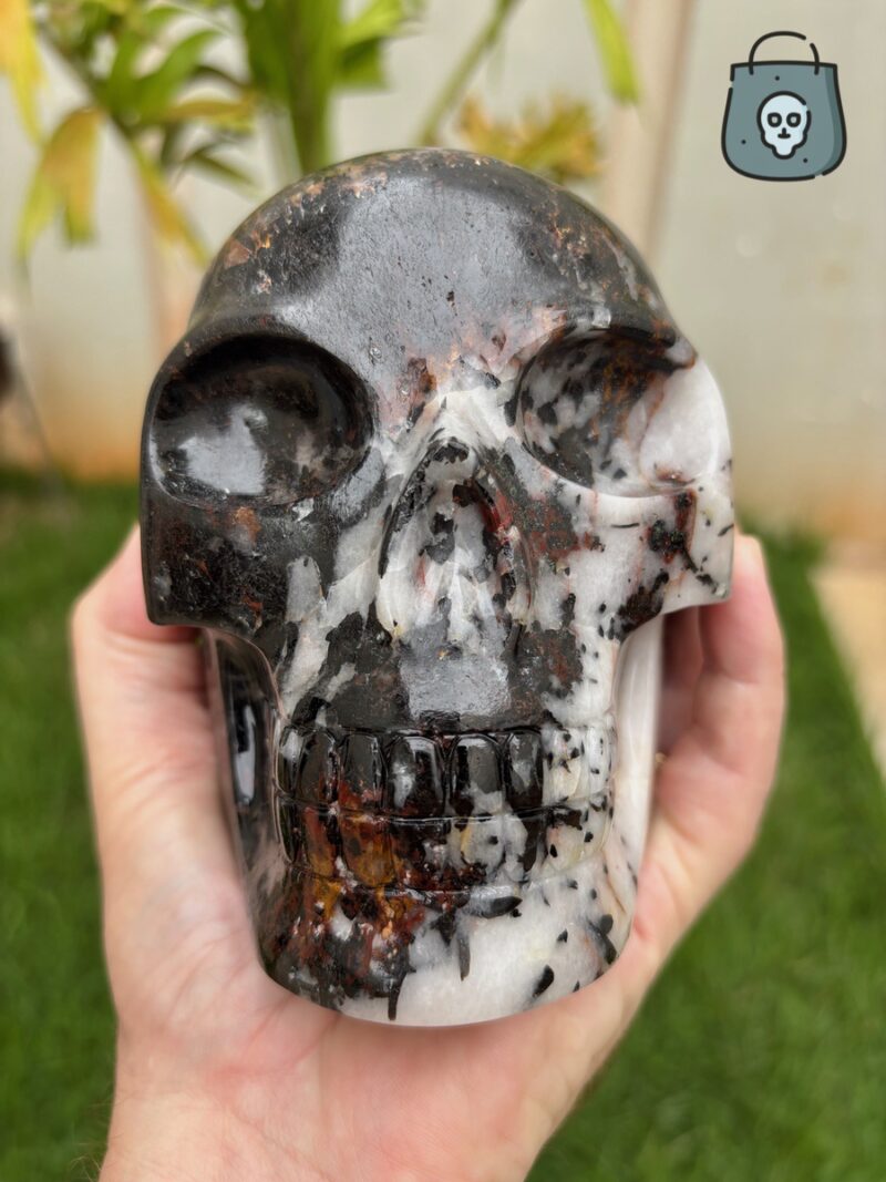 Black tourmaline quartz skull with garnet