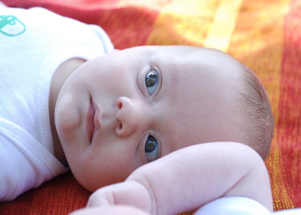 15 Week Old Milestones